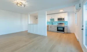 livingroom kitchen